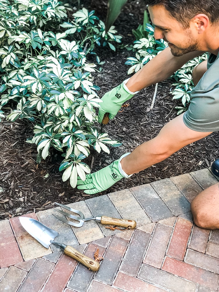 FSC認証&フェアトレードゴム使用 天然ゴムハウスホールドグローブ